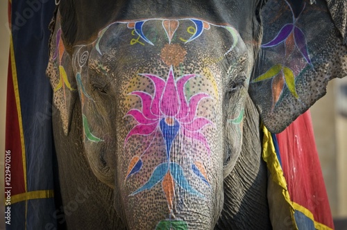 Painted elephants, Amer Fort, Amber Fort or Amber Palace, Jaipur, Rajasthan, India, Asia photo