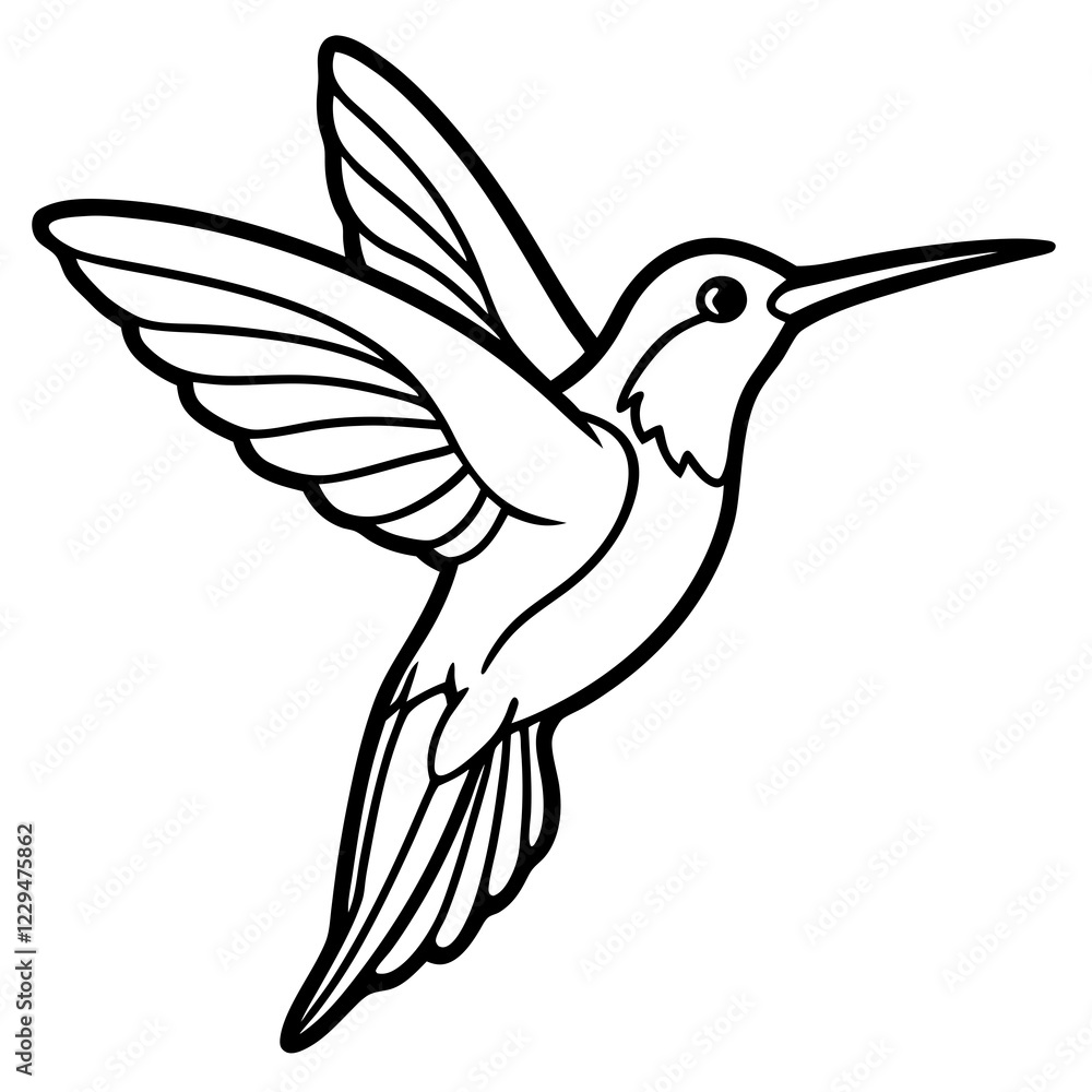 Fototapeta premium hummingbird illustration
