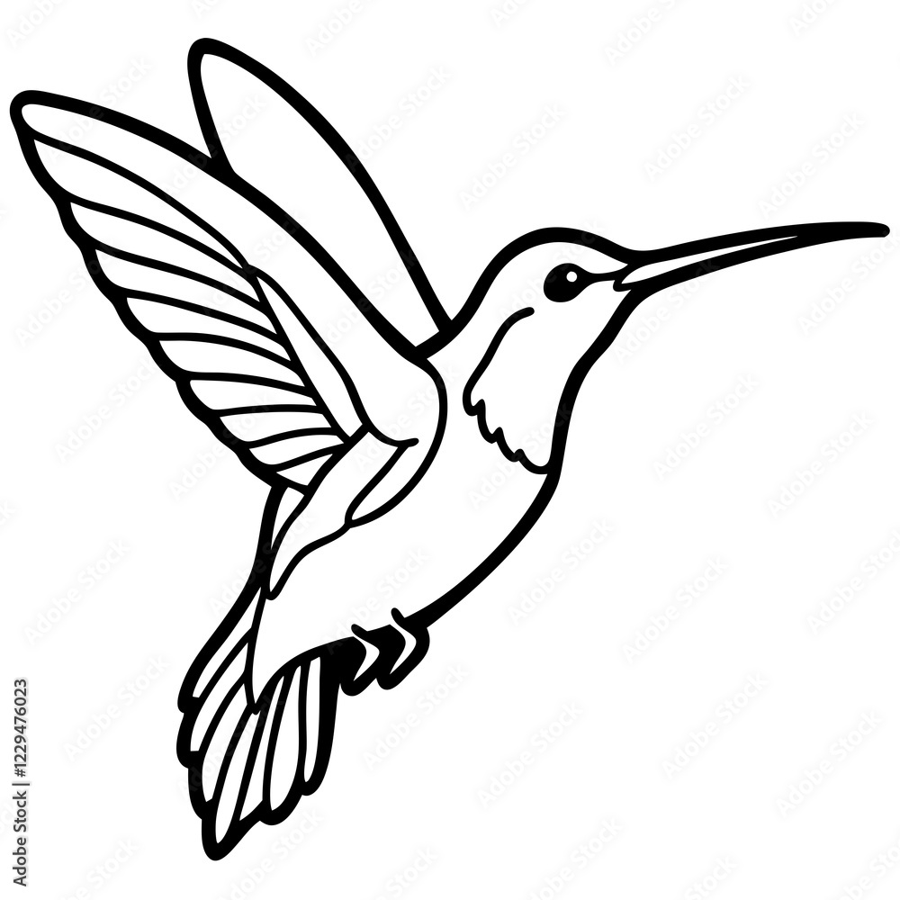 Fototapeta premium hummingbird