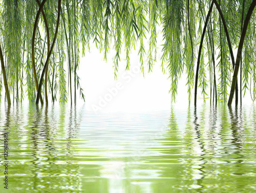 Green Bamboo and Willow Bra...