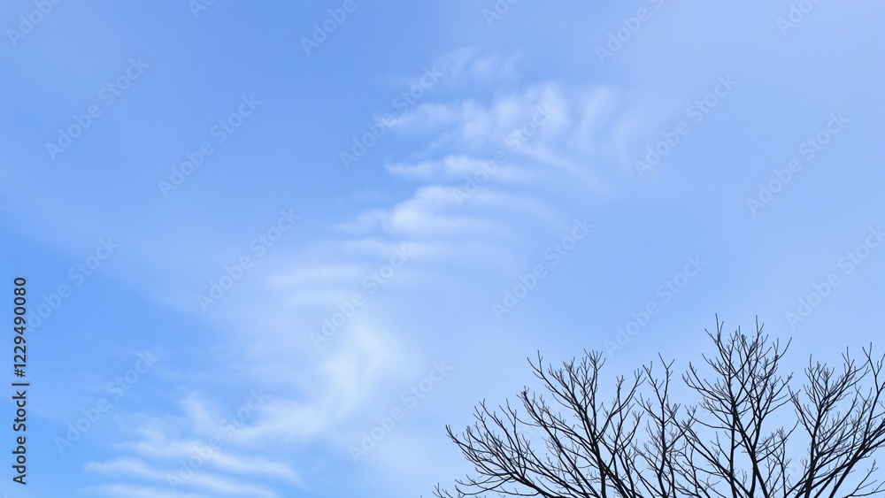 Serene Winter Sky with Bare Branches Silhouette Serene Winter Sky with Bare Branches Silhouette