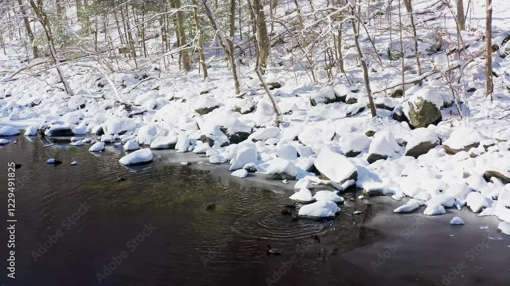 A serene aerial shot of ducks paddling through the icy Croton River, framed by snow-covered rocks and trees in Croton-On-Hudson, NY. A serene aerial shot of ducks paddling through the icy Croton River, framed by snow-covered rocks and trees in Croton-On-Hudson, NY.