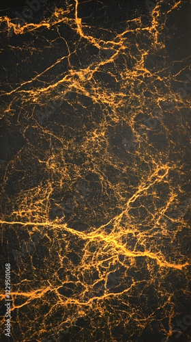 Golden Veins on Black Marbl...