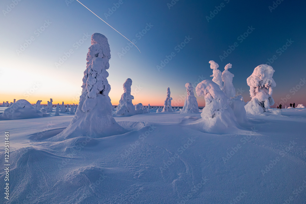 winter landscape with snow and trees
