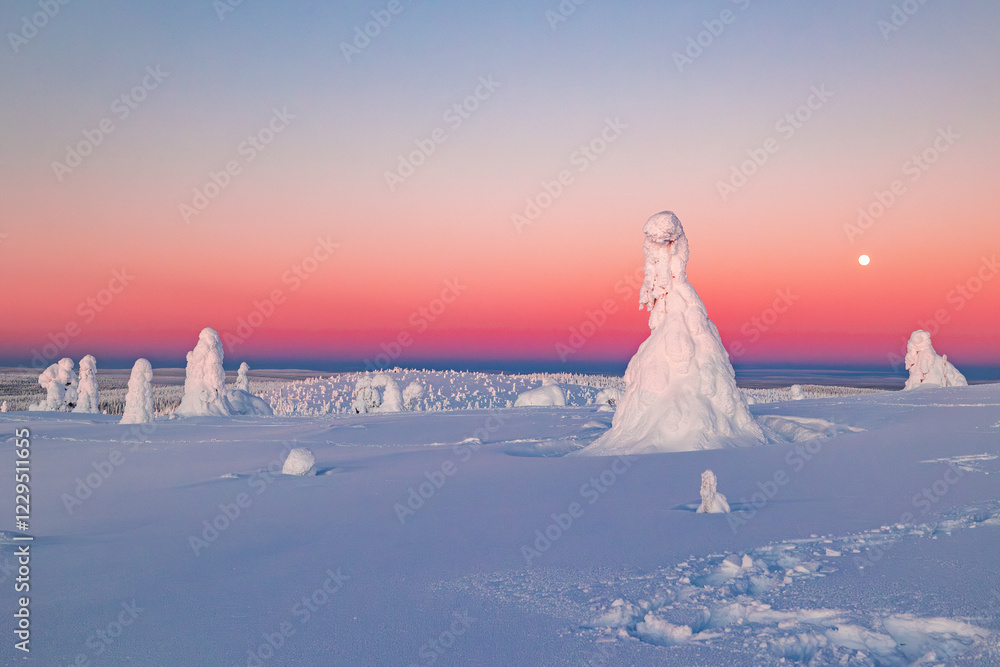 winter landscape at sunset