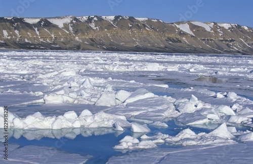 Drift ice in the Hinlopen Strait, Swalbard, Spitzberge, Arcita photo