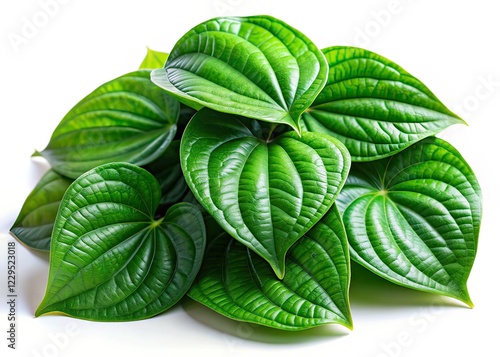 Wild Betel Leaves Isolated on White - High Depth of Field photo