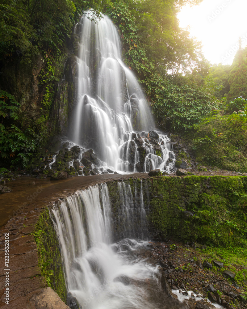 Obraz premium waterfall in the forest