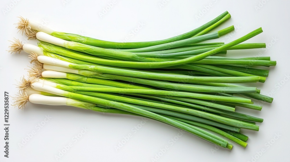 A bundle of fresh green scallions, the long, thin stalks laid out in a fan shape on a pure white background. A bundle of fresh green scallions, the long, thin stalks laid out in a fan shape on a pure white background.