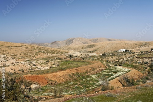 Fields in Valle de Santa Ines , Fuerteventura , Canary Islands photo