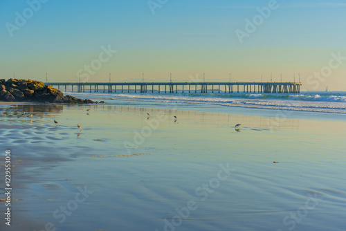 Wallpaper Mural Venice Fishing Pier with Birds on the Beach, Los Angeles, California Torontodigital.ca