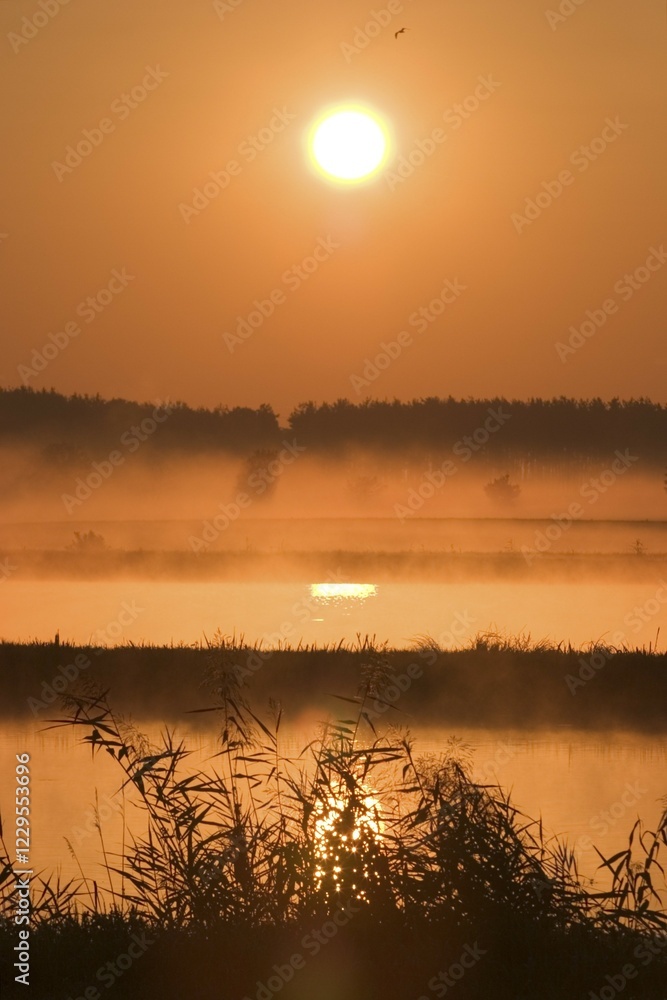 Fototapeta premium Sunrise over ponds in Franconia - Germany