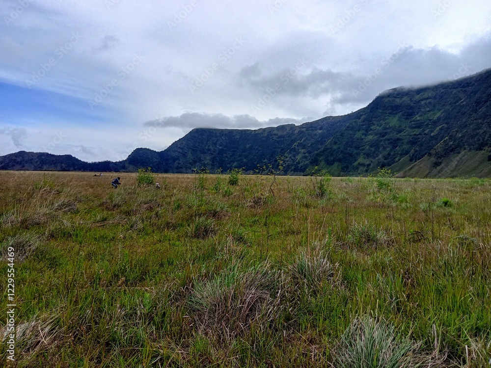 Obraz premium The view in the Mount Bromo tourist area which offers a very interesting panorama is usually used for field trips