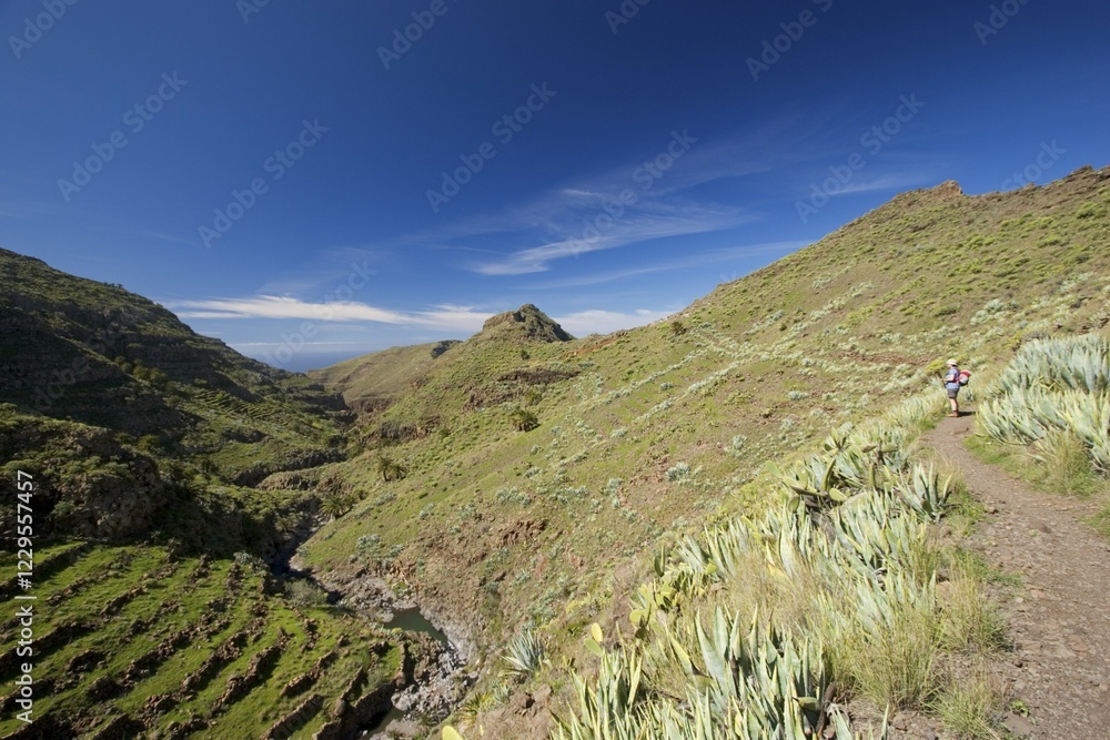 Obraz premium Barranco de Argaga La Gomera Canary Islands