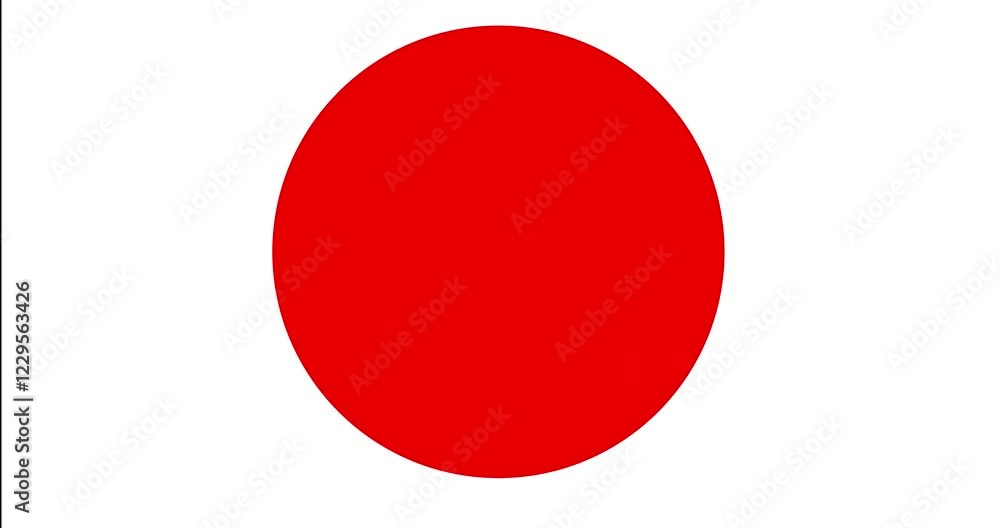 True or false and warning icon on white and black background. 4K stock video True or false and warning icon on white and black background. 4K stock video