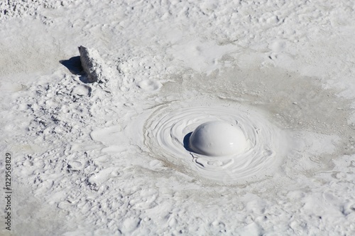 Mud geyser, Yellowstone national park, Wyoming, USA, North America photo