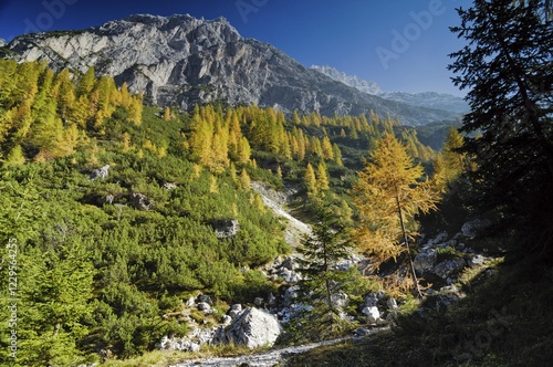 Elferkofel, Fischlein Valley, Sextener Dolomites, South Tyrol, Italy, Europe photo