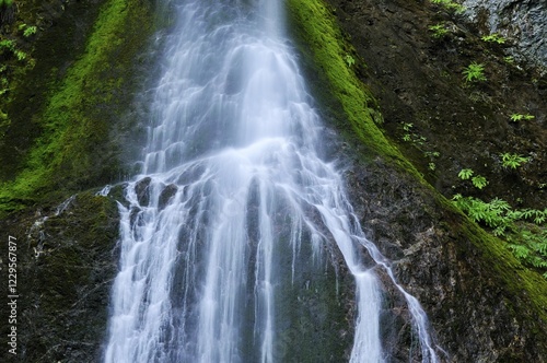 Marymere Falls, waterfall, tourist attraction, Olympic Peninsula, Nationalpark, Washington, USA, North America