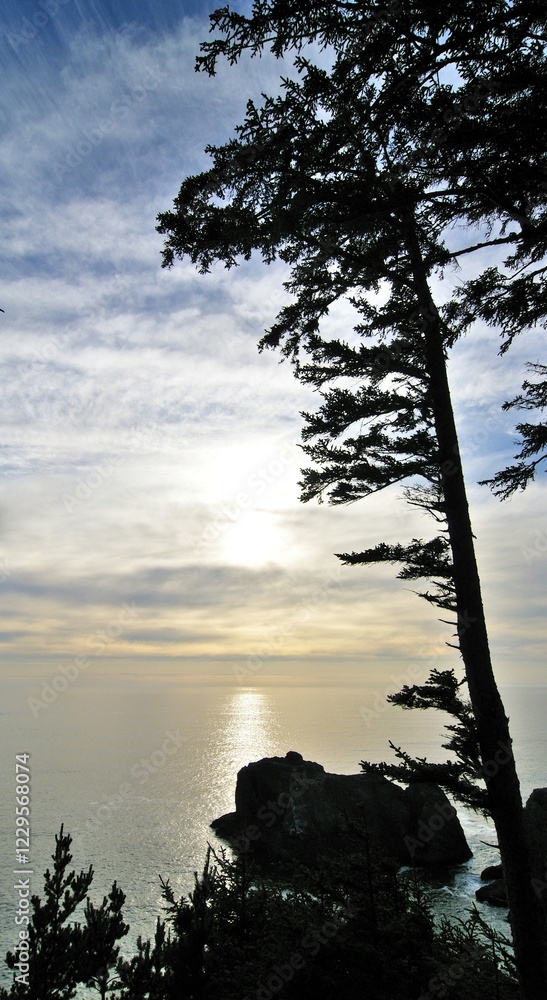 Obraz premium View from Sisters Rocks Viewpoint, Klamath, California, USA, North America