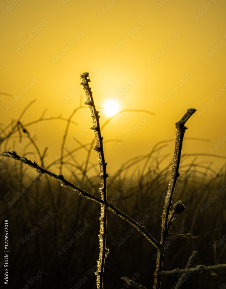 Obraz premium ice crystals and sun