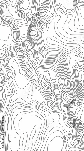 Abstract Topographic Contou...