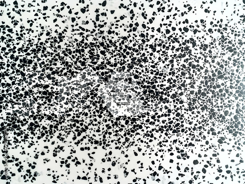 Black and White Terrazzo Te...
