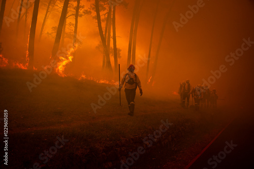 Slika na platnu Firefighters follwing leader battling wildfire in dense smoke in forest