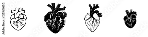 Variety of heart illustrations showcasing anatomical details and different artistic styles in black and white