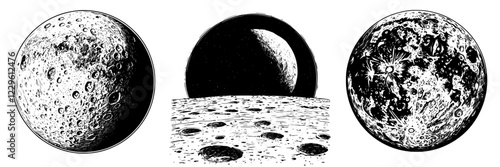 Artistic representation of the moon showcasing its surface features and phases in black and white