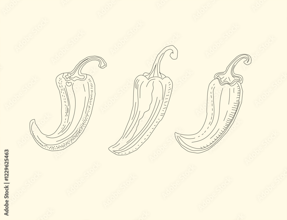 Obraz premium illustration of a chili pepper. chili pattern Background. vintage chili background. pepper pattern background. chili doodle pattern background. hot chili pattern