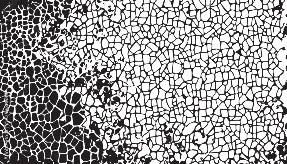 Black and white Grunge background. Dirty and damaged backdrop. Grunge black and white pattern. Monochrome particles abstract texture. EPS10. Black and white Grunge background. Dirty and damaged backdrop. Grunge black and white pattern. Monochrome particles abstract texture. EPS10.