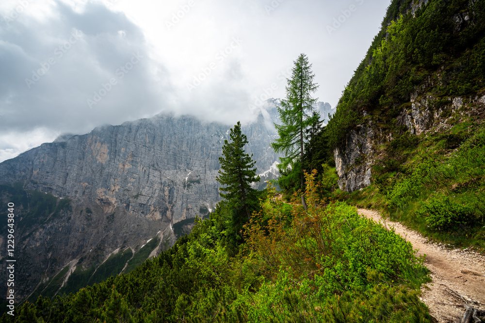Mountain trail in the Dolomites (Dolomiti, Dolomiten), Italy, leading to Lago Sorapis. The path winds along rocky slopes with stunning views of valleys, forests, and peaks