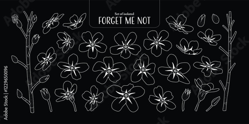 Set of isolated Forget Me Not, Scorpion grasses. Cute flower illustration in hand drawn style. White outline on a black plain background.