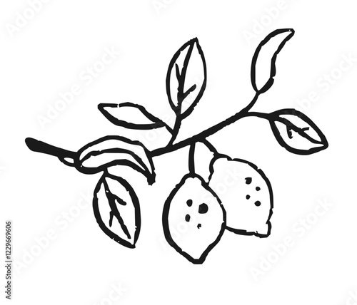 Doodle ink branch of lemon on isolated background. Abstract crayon fruit in trendy sketch style