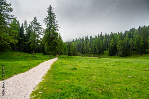 Obraz na płótnie Forest trail in the Dolomites (Dolomiti, Dolomiten), Italy, leading to Lago Sorapis. Lush green plants and tall trees create a serene and refreshing natural atmosphere w salonie