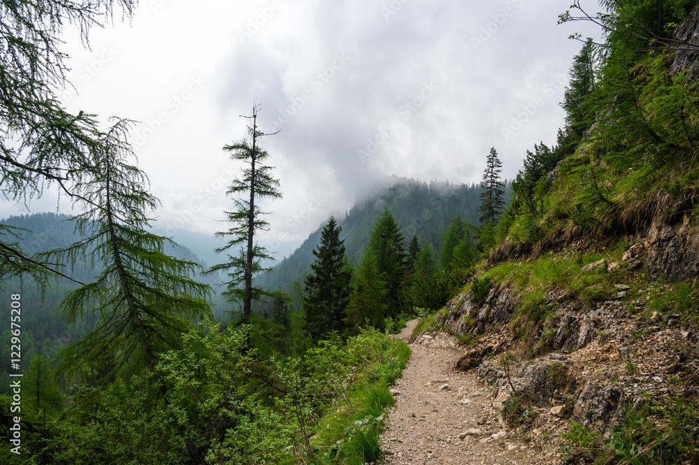 Mountain trail in the Dolomites (Dolomiti, Dolomiten), Italy, leading to Lago Sorapis. The path winds along rocky slopes with stunning views of valleys, forests, and peaks