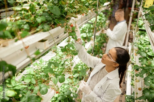 Foto Scientists exploring hydroponic strawberry growth in controlled lab environment