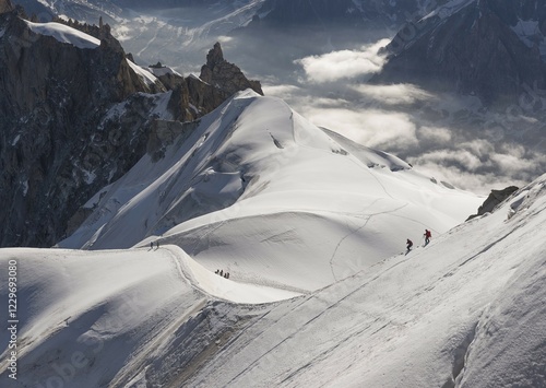 View from the Aiguille du Midi, 3842 m, Firngrat downhill to the Col du Plan, at the back Midi-Plan ridge with rock needle Rognan du Plan, classic mountaineering route, Chamonix-Mont-Blanc, Auvergne-Rhône-Alpes, France, Europe photo