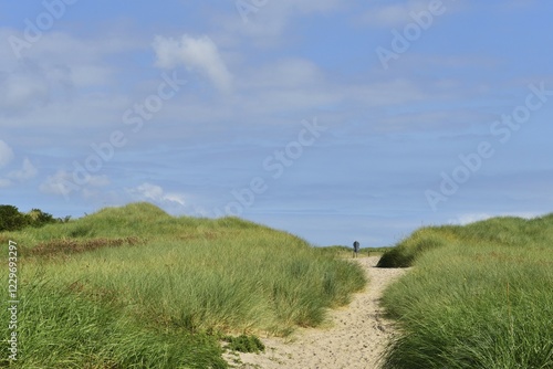 Sandy path through grassy dunes on the eastern tip of the island of Norderney, East Frisia, Lower Saxony, Germany, Europe photo