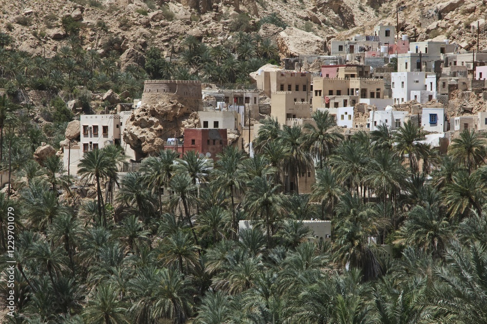 Obraz premium Village with palm trees at the end of Wadi Shab mountain ravine, Hadjar-Gebirge, Hadschar-Gebirge, Tiwi, Oman, Asia