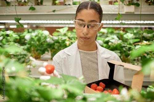 Fotografie Scientist examining strawberries grown in an indoor garden setting with advanced cultivation techniques