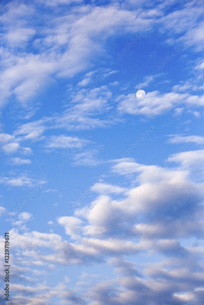 Obraz premium Moonrise in the early morning in November