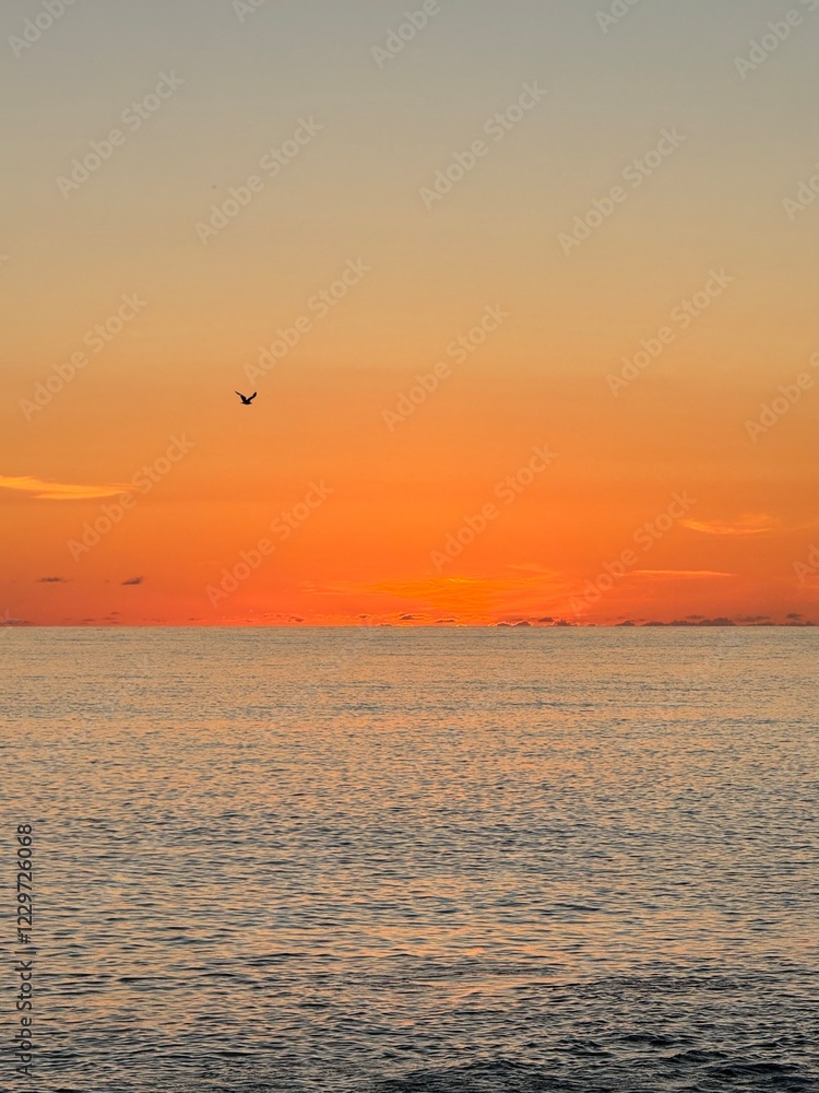 Sunset in the ocean - Madeira Island, Portugal Sunset in the ocean - Madeira Island, Portugal