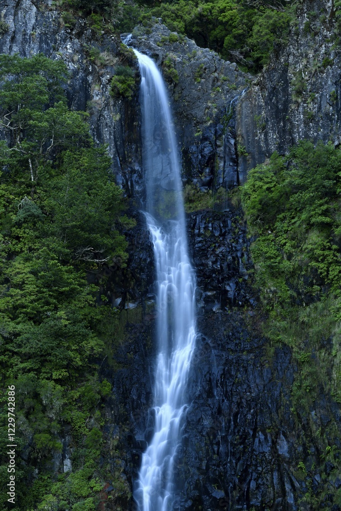 Obraz premium Cascata do Risco, Risco waterfall, in Laurisilva laurel forest, Rabacal nature reserve, Madeira Island, Portugal, Europe