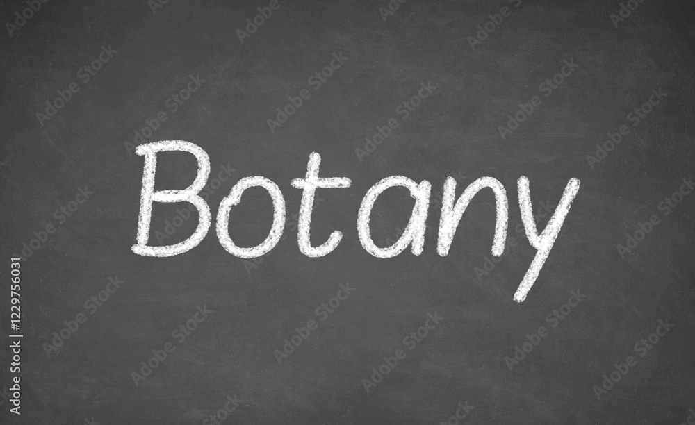 Botany lesson on blackboard or chalkboard. written in white chalk Botany lesson on blackboard or chalkboard. written in white chalk