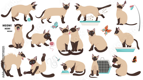 Cartoon cat characters collection. Different cat`s poses, yoga and emotions set. Flat color simple style design. Vector illustration
