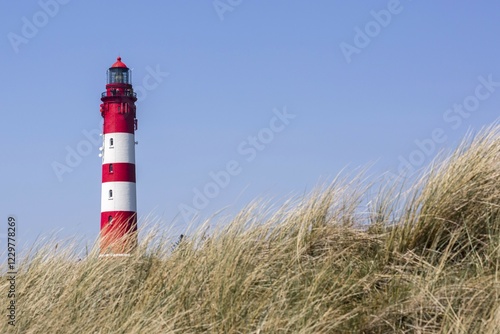 Lighthouse, Amrum, North Frisian Islands, Schleswig-Holstein, Germany, Europe photo