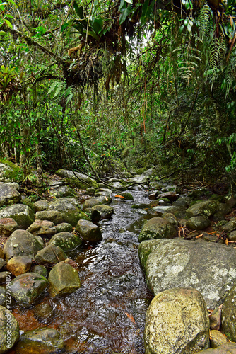 Obraz na płótnie River on tropical rainforest in Teresopolis, Rio de Janeiro, Brazil w salonie