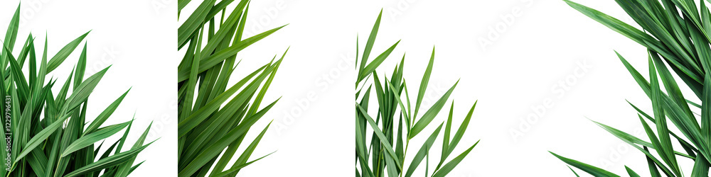 Closeup of Fresh Green Tropical Leaves in Natural Scenery with Vibrant Eco Friendly Atmosphere Closeup of Fresh Green Tropical Leaves in Natural Scenery with Vibrant Eco Friendly Atmosphere