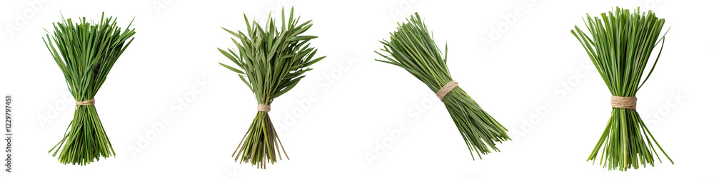 Fototapeta premium Bundles of Fresh Green Herbs for Cooking and Seasoning